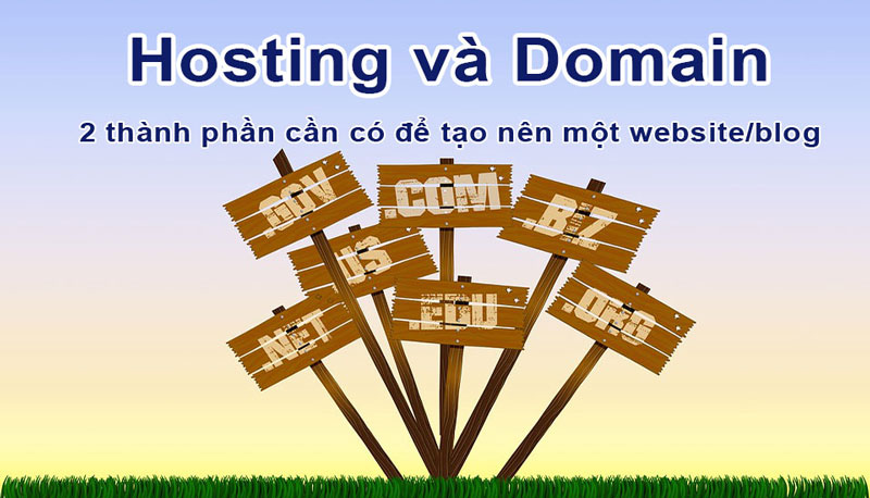 Hosting và Domain